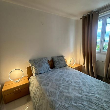 شقة Tres Beau Trois Pieces Avec Vue Degagee ستراسبورغ المظهر الخارجي الصورة