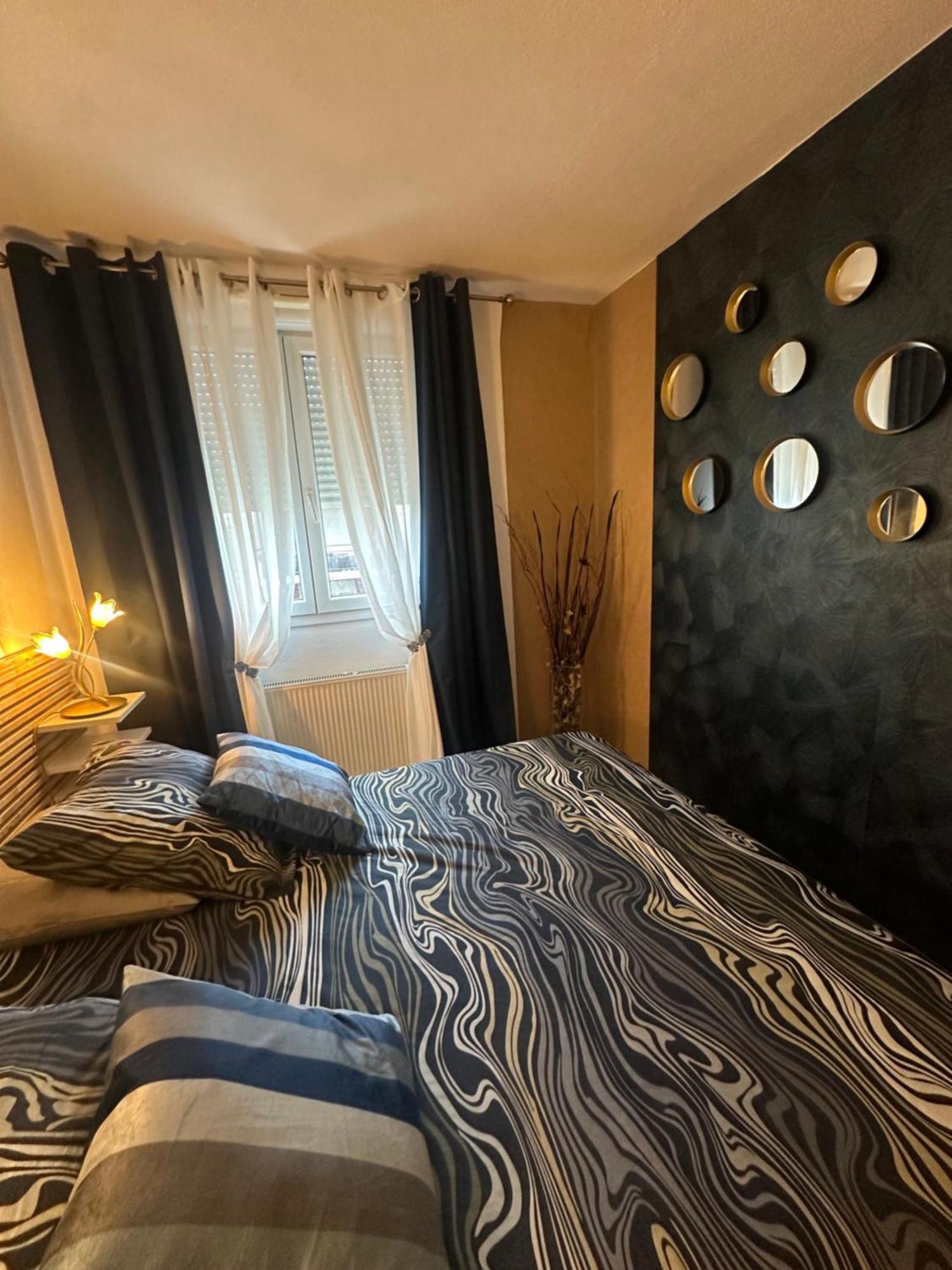 شقة Tres Beau Trois Pieces Avec Vue Degagee ستراسبورغ المظهر الخارجي الصورة